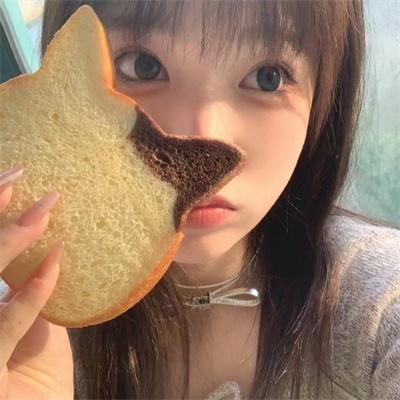 吐崽子